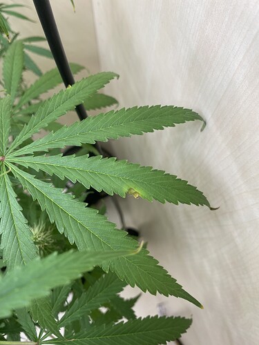Growreport Bild 4