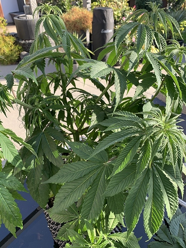 Growreport Bild 1