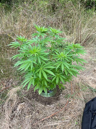 Growreport Bild 11