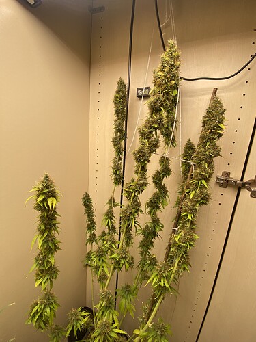 Growreport Bild 16
