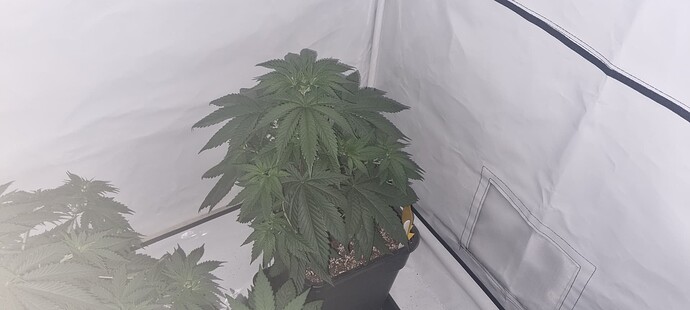 Growreport Bild 18