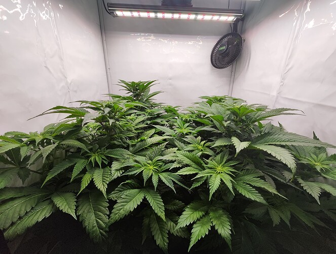 Growreport Bild 3