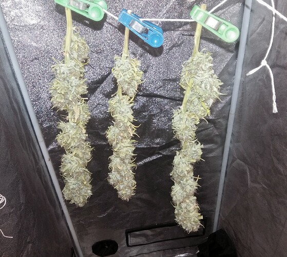 Growreport Bild 10