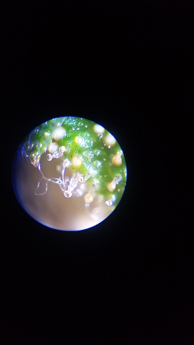 Growreport Bild 8