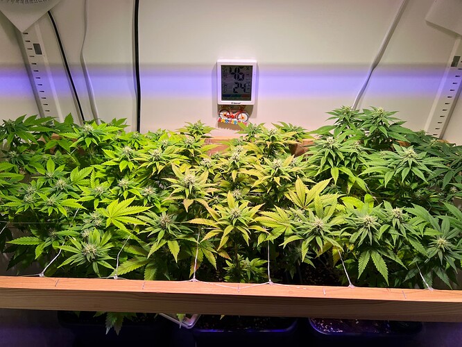 Growreport Bild 7