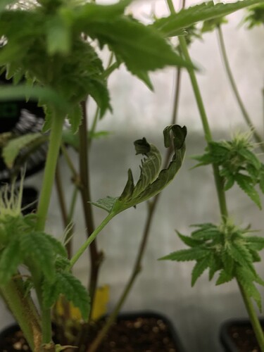 Growreport Bild 8