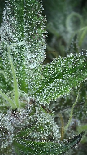 2022_08_01_00_52_33_100