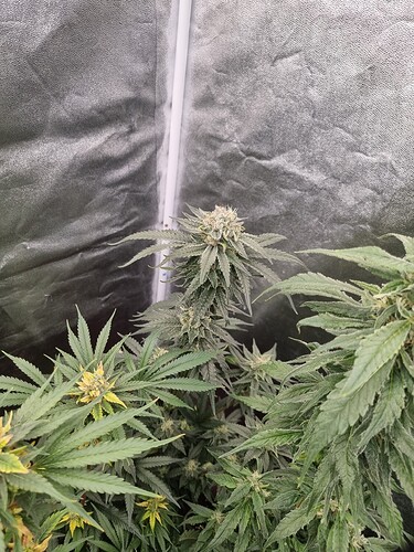 Growreport Bild 14
