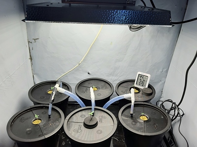 Growreport Bild 10