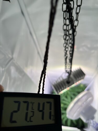 Growreport Bild 19