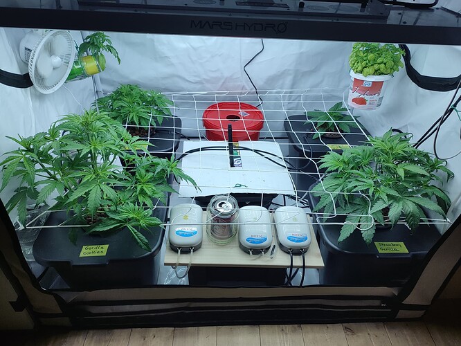 Growreport Bild 11