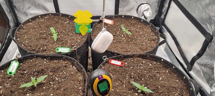 Growreport Bild 8