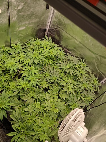 Growreport Bild 11