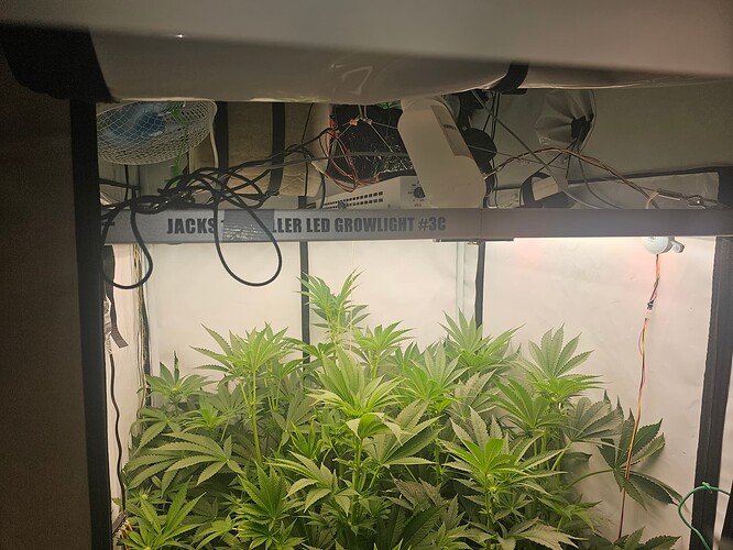 Growreport Bild 6