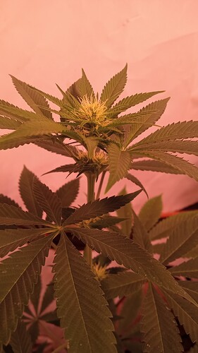 Growreport Bild 14