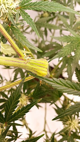 Growreport Bild 3