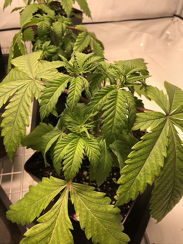 Growreport Bild 10