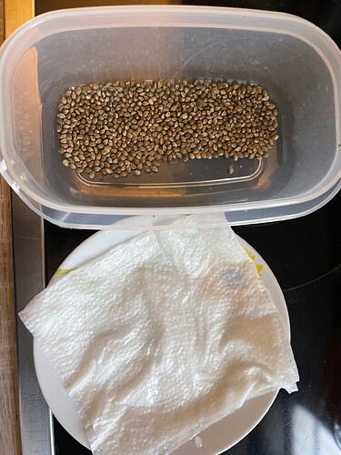 Growreport Bild 13