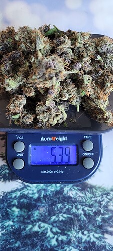 Growreport Bild 4
