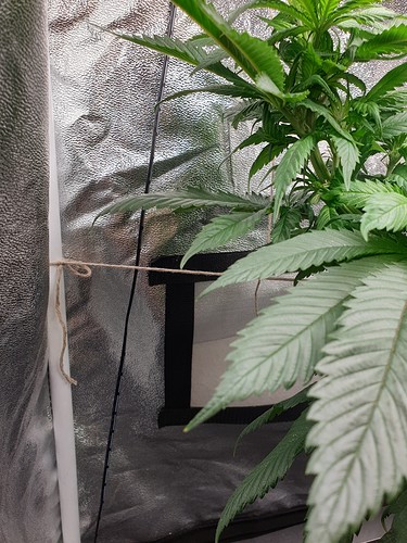 Growreport Bild 6