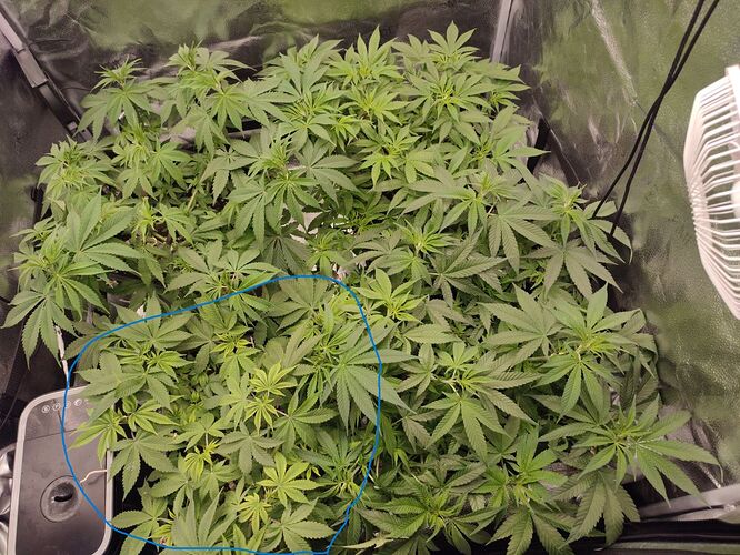 Growreport Bild 8