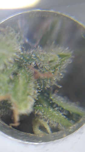Growreport Bild 14