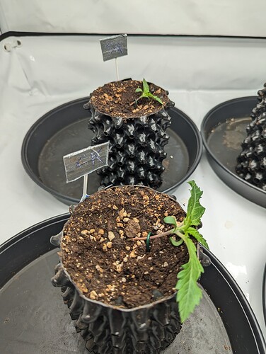 PXL_20231029_125716366