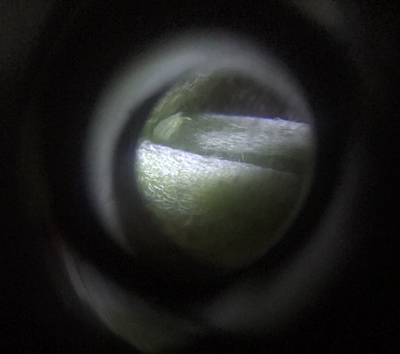 Growreport Bild 7