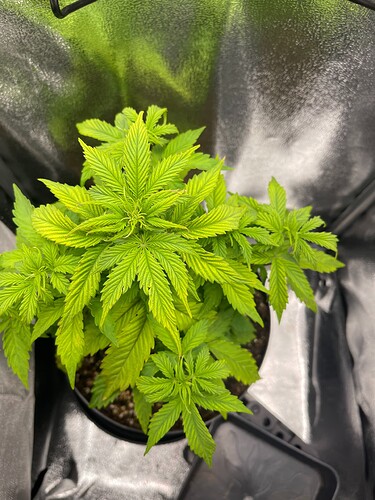 Growreport Bild 15