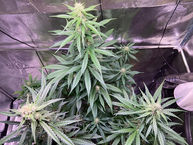 Growreport Bild 11