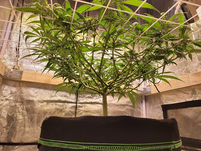 Growreport Bild 11