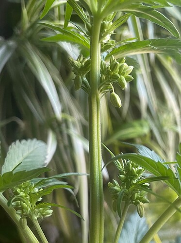 Growreport Bild 15
