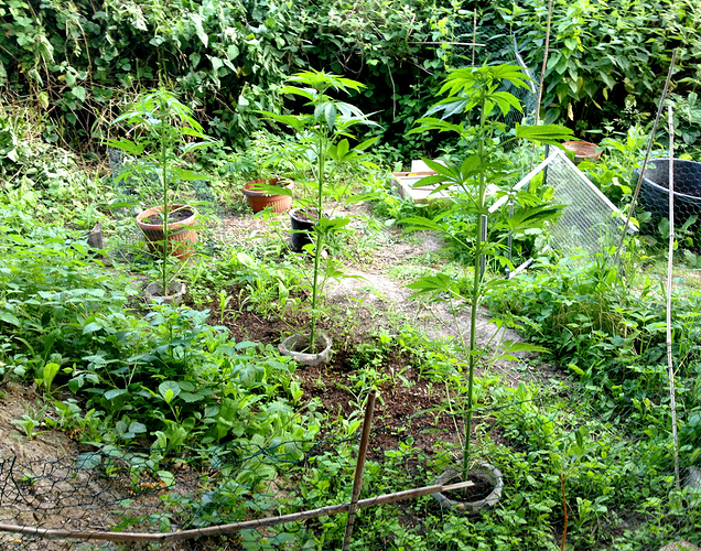 Growreport Bild 9