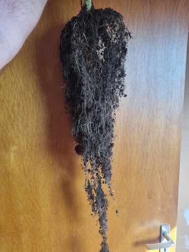 Growreport Bild 3