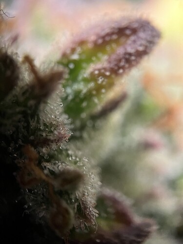 Growreport Bild 16