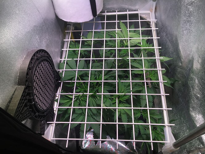 Growreport Bild 16