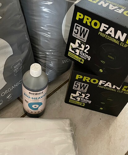 Growreport Bild 18