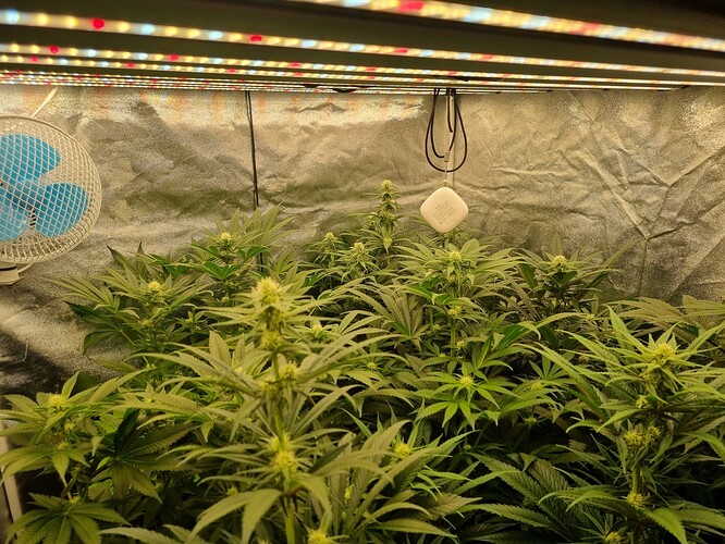 Growreport Bild 28