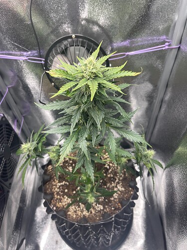 Growreport Bild 2