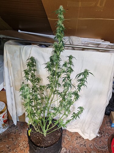 Growreport Bild 16