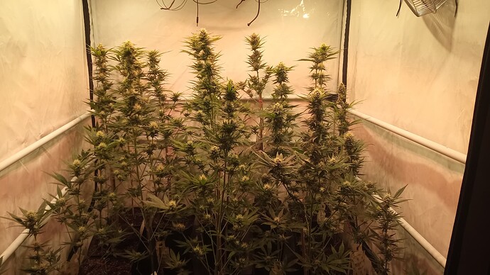 Growreport Bild 24