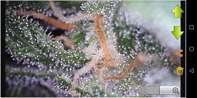 Screenshot_20230607-231442