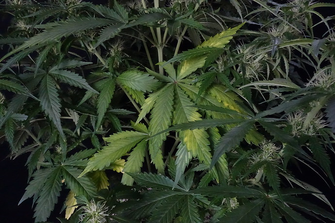 Growreport Bild 23