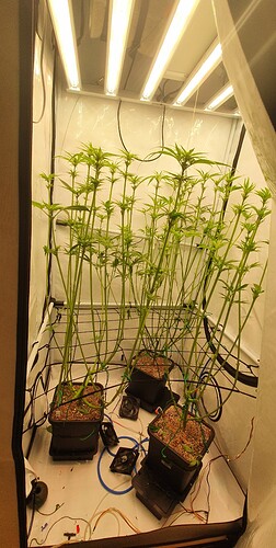 Growreport Bild 12