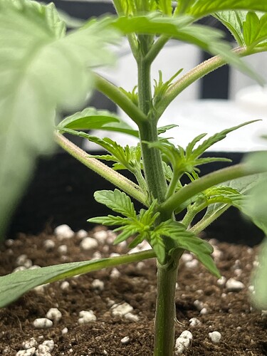 Growreport Bild 26