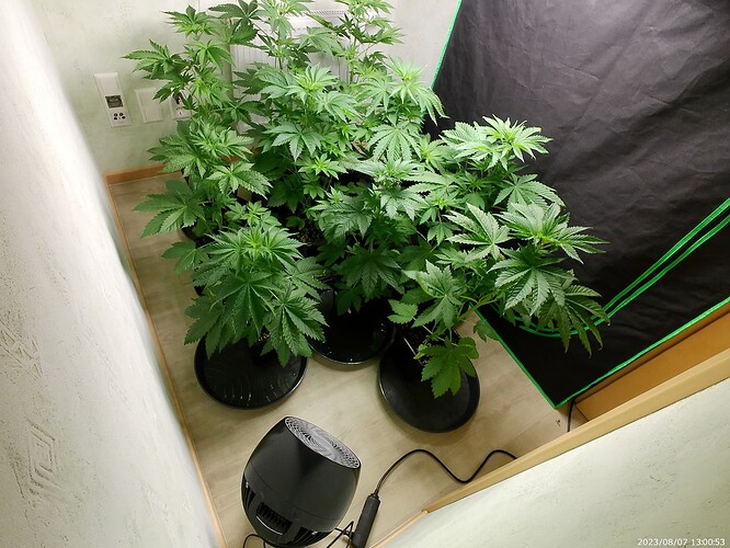 Growreport Bild 19