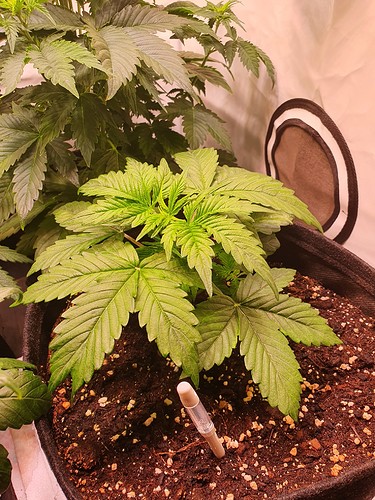 Growreport Bild 12