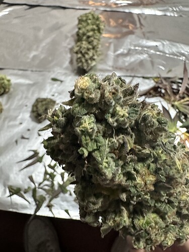 Growreport Bild 18