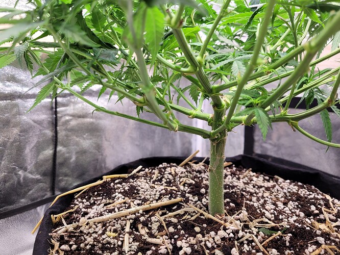 Growreport Bild 6