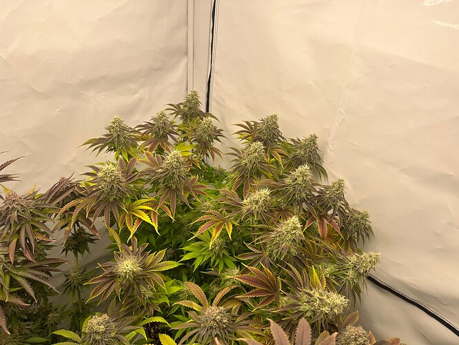 Growreport Bild 11